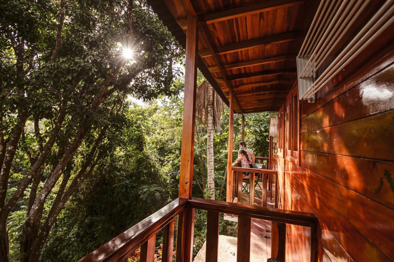 Inn Ecohotel Yachay Tayrona Dentro Del Parque Tayrona El Zaino