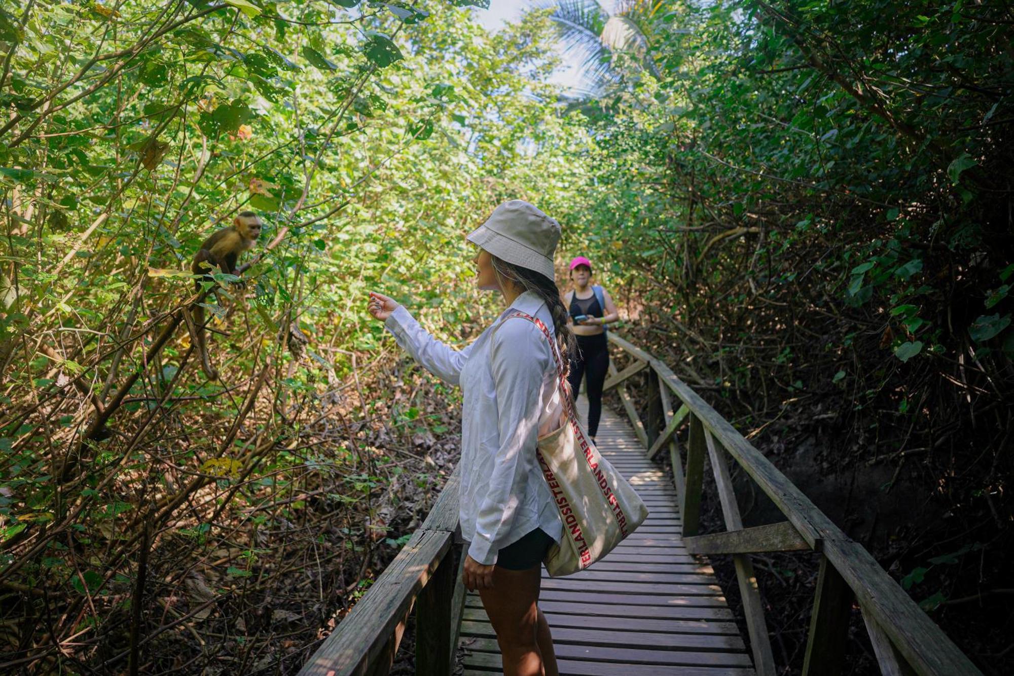 Ecohotel Yachay Tayrona Dentro Del Parque Tayrona El Zaino