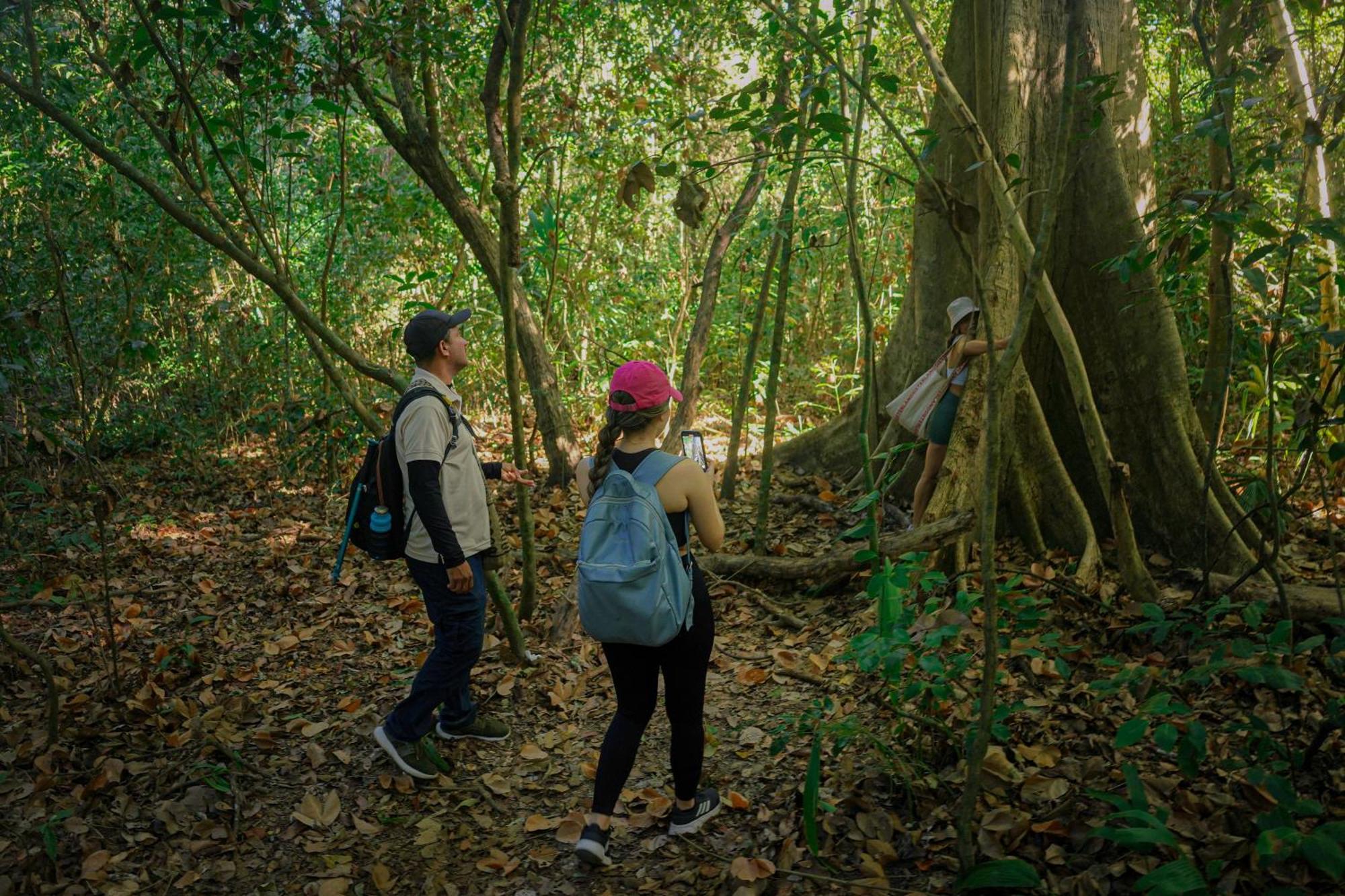 Ecohotel Yachay Tayrona Dentro Del Parque Tayrona El Zaino