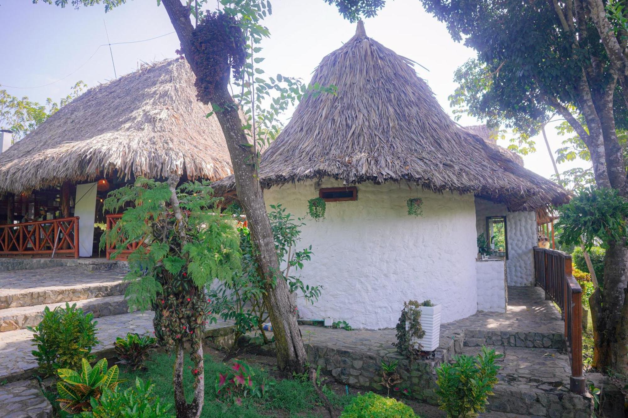 Inn Ecohotel Yachay Tayrona Dentro Del Parque Tayrona El Zaino