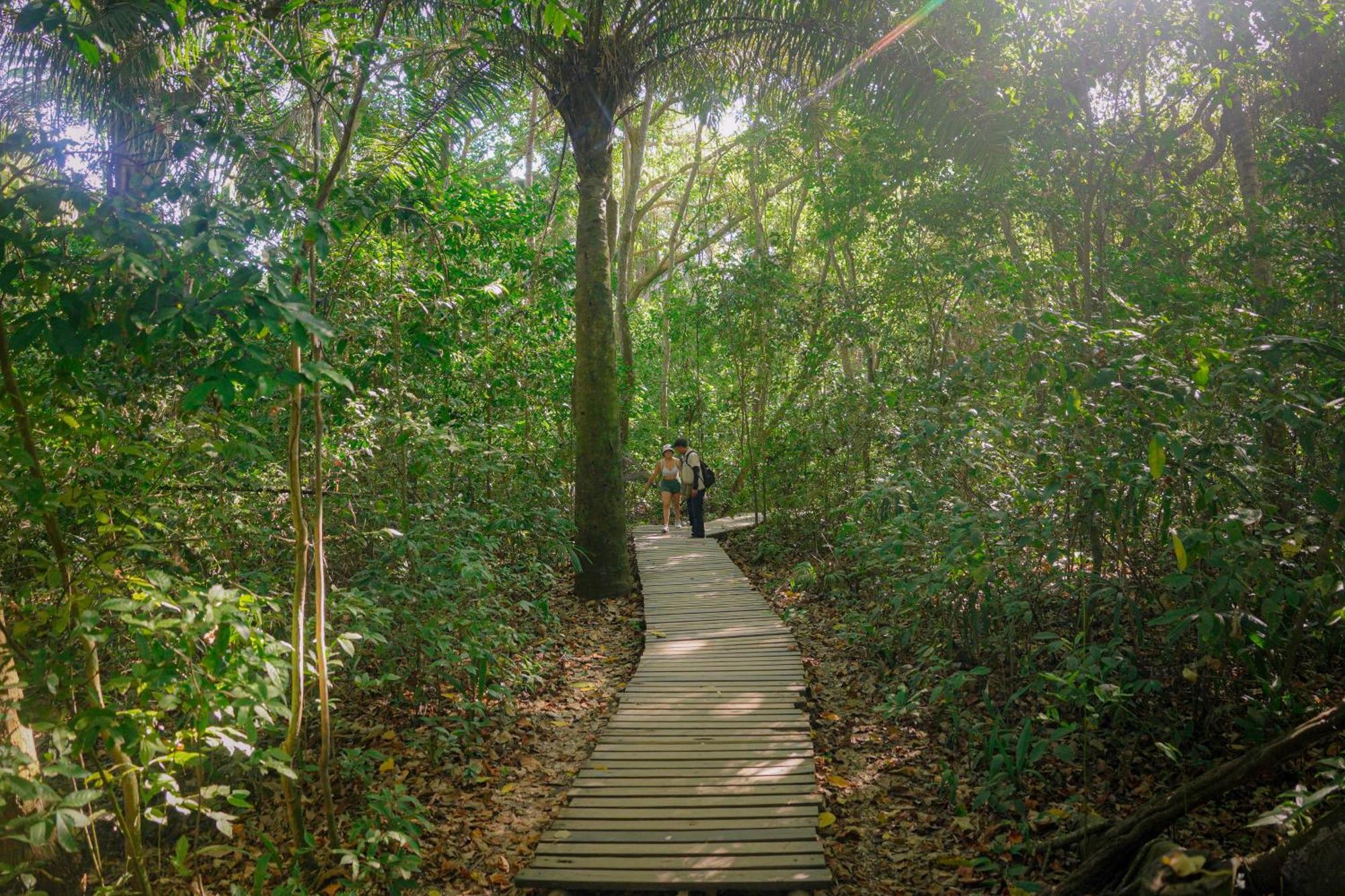 Ecohotel Yachay Tayrona Dentro Del Parque Tayrona