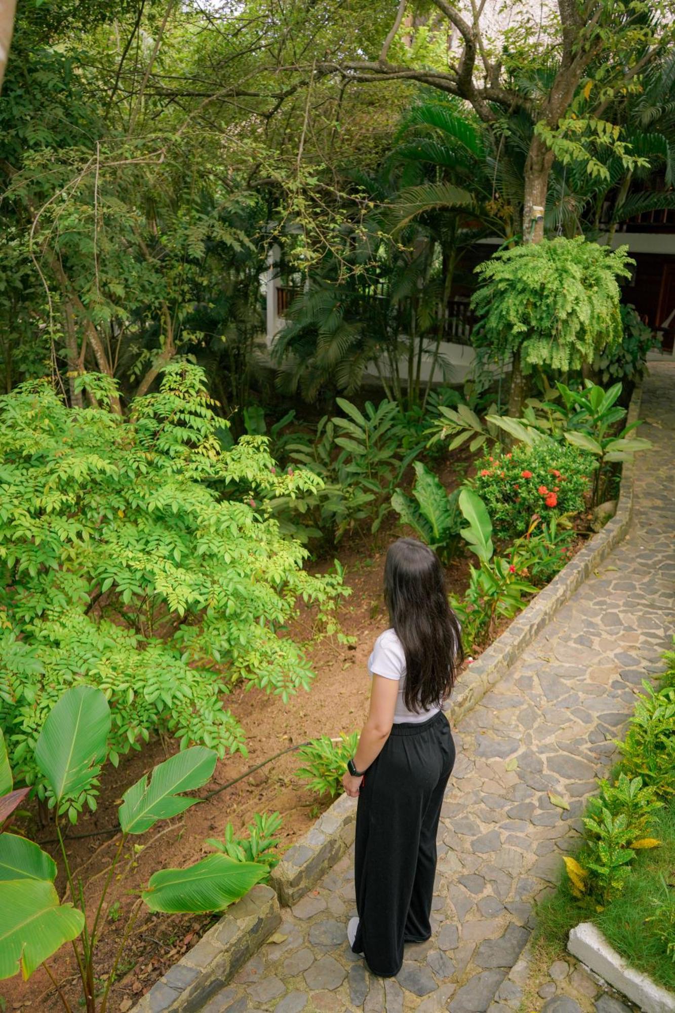 Ecohotel Yachay Tayrona Dentro Del Parque Tayrona 2* El Zaino