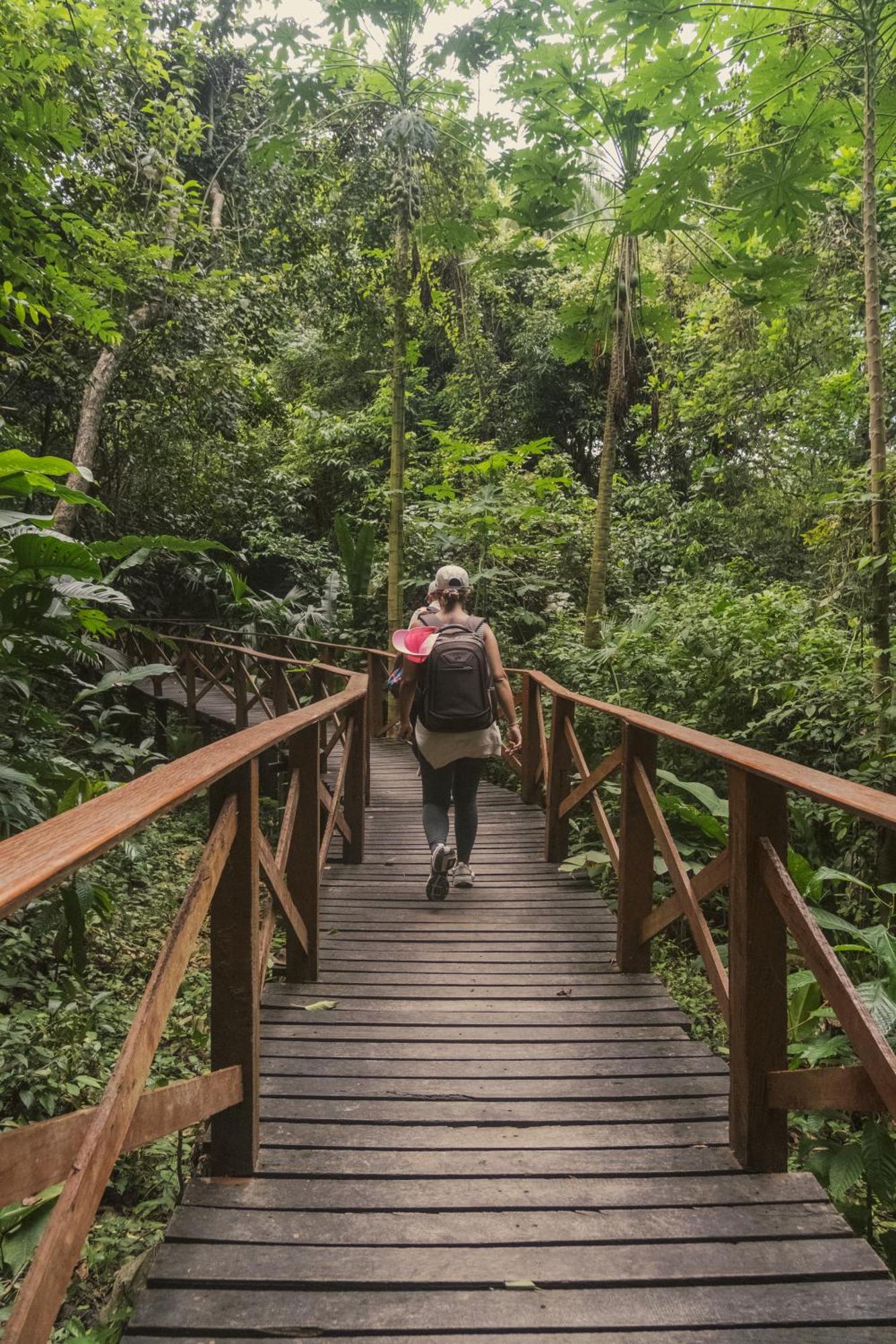 Ecohotel Yachay Tayrona Dentro Del Parque Tayrona